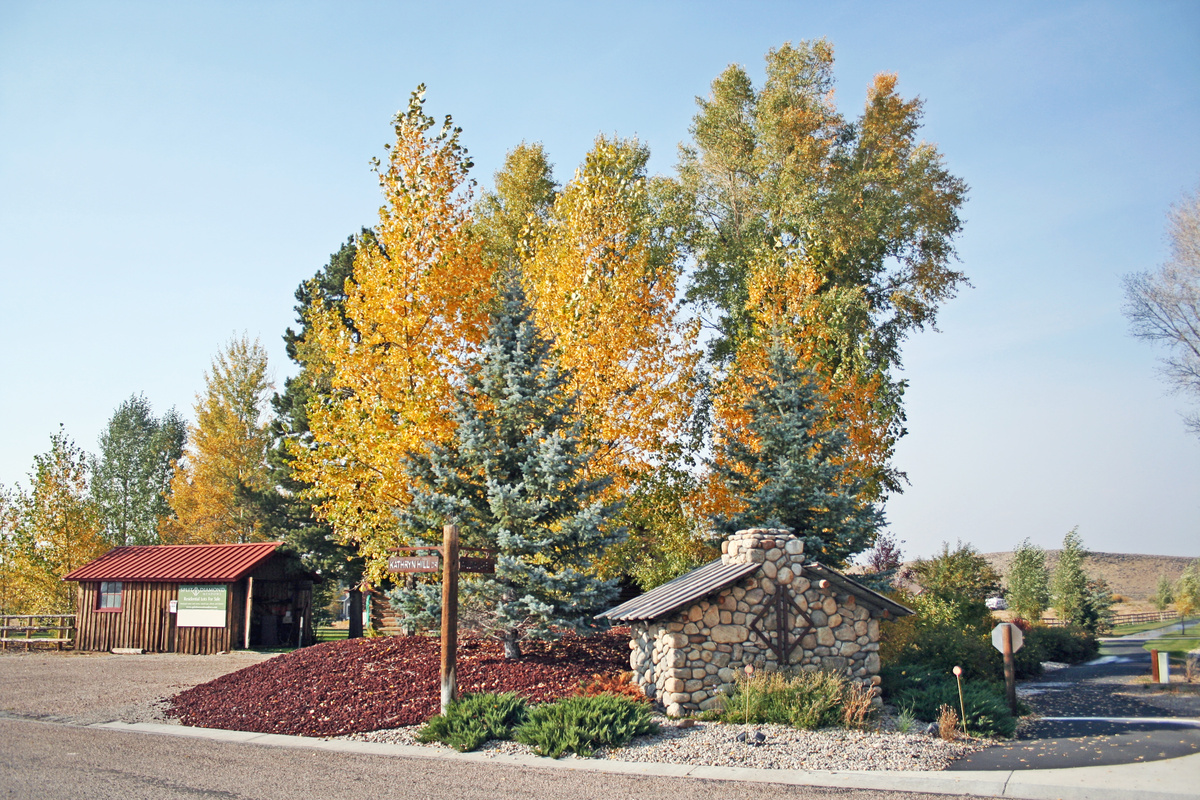 Lush green meadow and open terrain at Split Diamond Meadows community